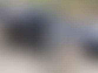 Programa “Bem-Estar Animal” atendeu cerca de mil pets em 2025