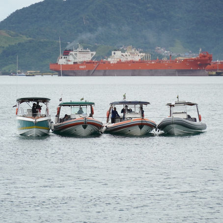 Prefeitura de Ilhabela intensifica monitoramento de avistamento de baleias e reforça orientações para turismo responsável