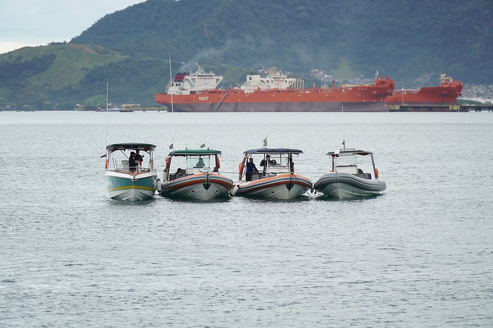 Prefeitura de Ilhabela intensifica monitoramento de avistamento de baleias e reforça orientações para turismo responsável