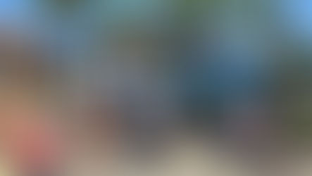 Diversidade de roteiros turísticos fazem de Ilhabela um dos melhores destinos para cruzeiros do mundo