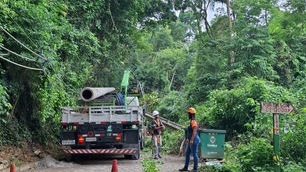 Estrada de Castelhanos de Ilhabela é interditada devido à queda de árvores
