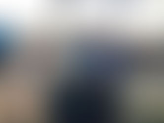 Ilhabela se destaca na AVISTAR 2025 e consolida seu status como referência em birdwatching no Brasil