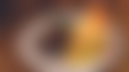 Ilhabela realiza 30ª edição do Festival do Camarão com programação histórica e Boteco de volta à Vila