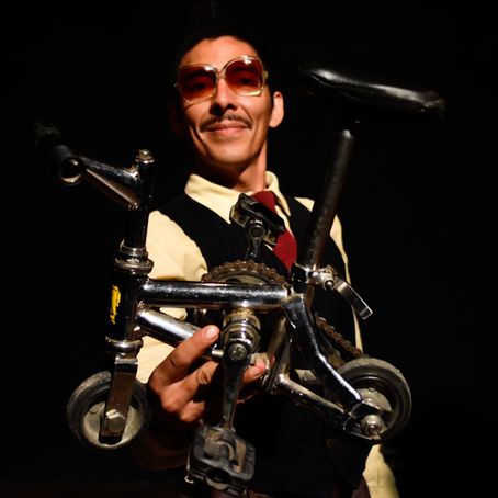 9ª Edição do Festival Felino