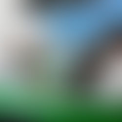 Em audiência pública, Prefeito Toninho Colucci apresenta medidas para enfrentar queda histórica dos royalties