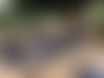 Ecomanrun 2025: Corrida com obstáculos reúne cerca de mil atletas em Ilhabela