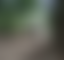 Prefeitura de Ilhabela realiza manutenção na Estrada da Cocaia