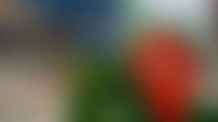 Prefeitura de Ilhabela entrega certificados a cerca de 100 novos profissionais formados em parceria com Senai e Senac