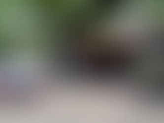 Prefeitura de Ilhabela interdita estabelecimento na Vila para garantir ordem pública