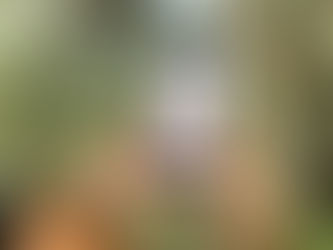 Prefeitura de Ilhabela realiza Simpósio sobre Compulsões Digitais nesta quinta-feira (23)