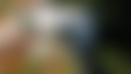 Prefeitura de Ilhabela informa novo endereço da Agência de Correios Comunitária da região Sul