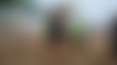 Esporte e solidariedade: Ilhabela celebra o verão com grandes eventos