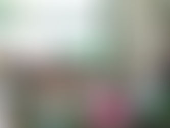 13º Festival da Sardinha de Ilhabela: programação especial no Mercado do Peixe terá pratos típicos e atrações locais