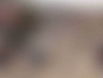 Prefeitura de São Sebastião institui tarifa única e segue com transporte público mais barato do Estado de São Paulo