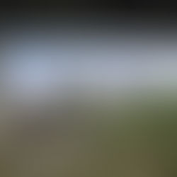 Prefeitura de Ilhabela realiza mutirão de limpeza no entorno da Ponte Estaiada