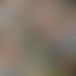 Prefeitura de Ilhabela prorroga prazo para pagamento da cota única do IPTU 2026