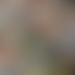 Prefeitura de Ilhabela prorroga prazo para pagamento da cota única do IPTU 2026