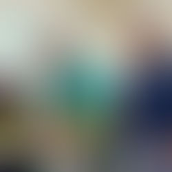 Prefeito Toninho Colucci destaca conquista inédita do Selo Prata do Compromisso Nacional com a Alfabetização por Ilhabela