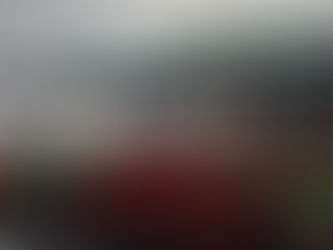 Prefeitura de Ilhabela realiza capacitação de funcionários da limpeza urbana para áreas de preservação ambiental