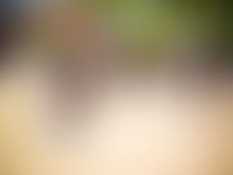 Ecomanrun 2025 agita em Ilhabela no mês de fevereiro