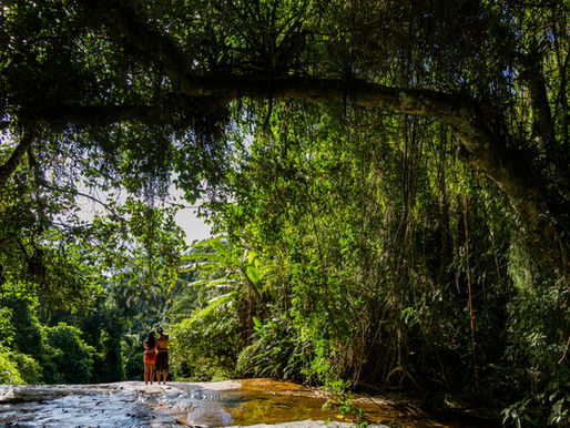 Ilhabela participa do Abeta Summit 2025 e reforça protagonismo no turismo de natureza