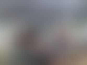 Programa “Bem-Estar Animal” leva atendimento gratuito ao bairro Reino nesta quarta-feira (25)