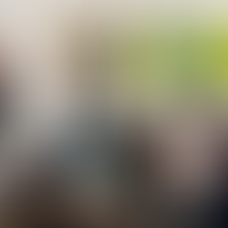 Prefeitura de Ilhabela realiza reunião com moradores do Veloso para esclarecer regularização cadastral provisória