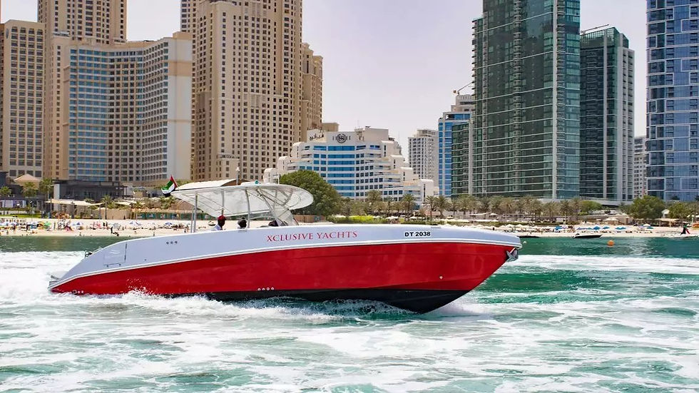 Миниатюра: Прокат яхты в Дубае Xclusive 20 - Sports Boat Hire Dubai