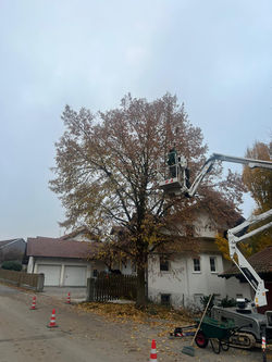 IMG-20251106-WA0002
