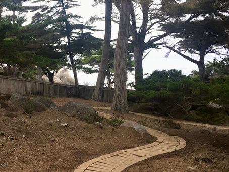The Overburden of an Easement Is Not Always Easy to Determine