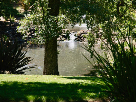 Enforcement Actions Under the Wetlands Protection Act...