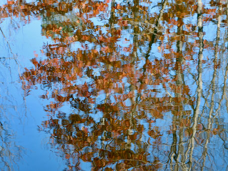 Groundwater, a Wellspring of Interstate Litigation?