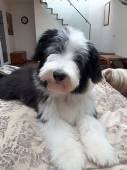 56173312_2709390939077696_90481660529695