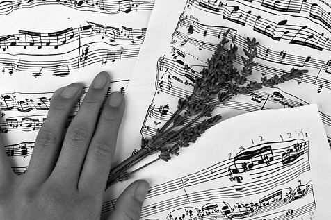 Copy of viewabove1.jpg