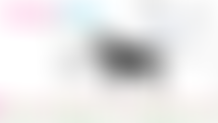 Get your lab lovin' in with Lab Rescue LRCP