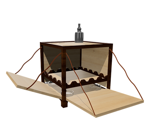 IMG_0164 (1)-Photoroom.png