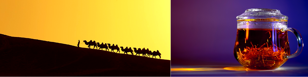 Saffron infused tea to the right and camels from the middle east in the left side, carrying saffron to the UK