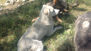 16.祥運お名前の実例 2字姓