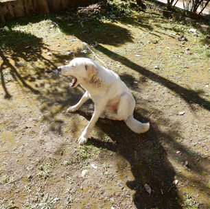 00．はちどり祥運お名前制作所　理念