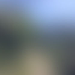 06．本来のエネルギーを引き出す画数の数え方 2