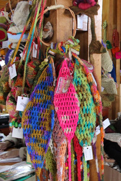 Fotografía de Viajes Curacautin