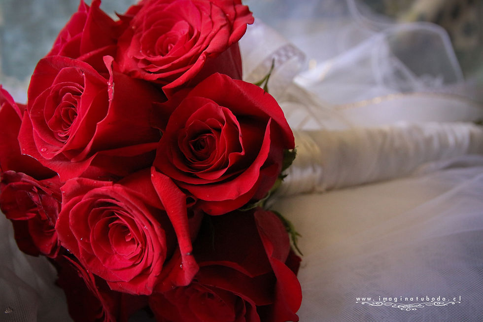 Fotografo de Bodas-2.jpg