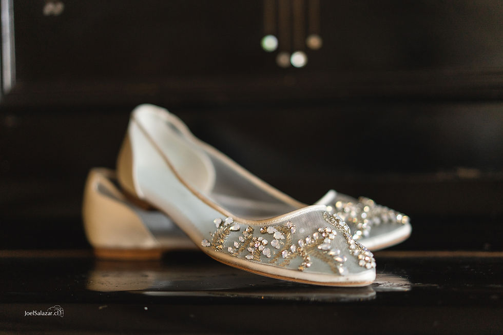 Fotógrafo_de_matrimonio_Parcela_Queule-1