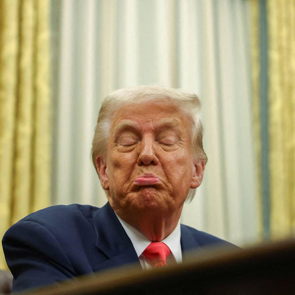 Dumb Don And The Four Guarantees