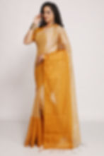 Thumbnail: handloom Tissue Zari Plain Saree with Big Border
