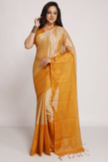 handloom Tissue Zari Plain Saree with Big Border
