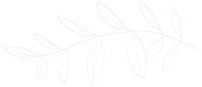 Asset 2.png