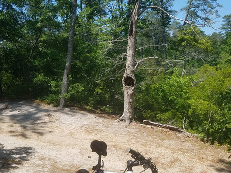 First Landing Park, May 19, 2017  (3 Pics)