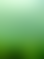 Chesapeake Snorkeling, rarest of Days. June 2022