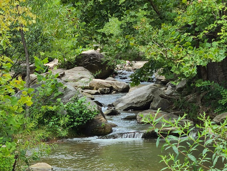 Chimney Rock, NC. August 1.